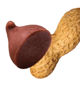 Chocolate PB - 16 Cereal Treats (4 boxes)